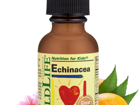 Echinacea Extract - Orange Flavor Online now