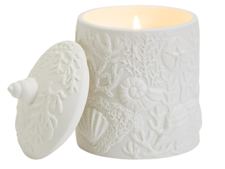 24oz Shell and Coral Relief Filled Candle with Sea Spray Scent- 30 hrs Hot on Sale