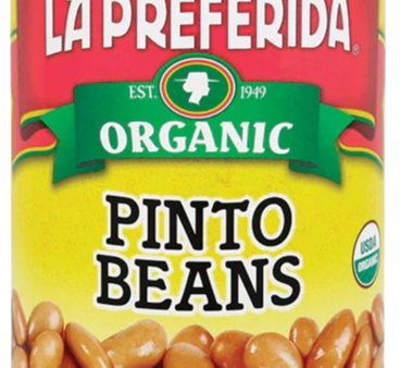 Organic Pinto Beans Online Hot Sale