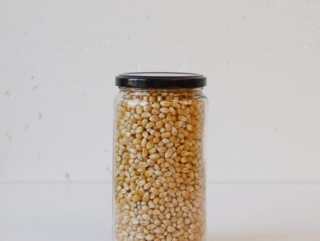 Popcorn - Organic on Sale