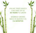 Bamboo Wet Wipes (6 Pack) Online now