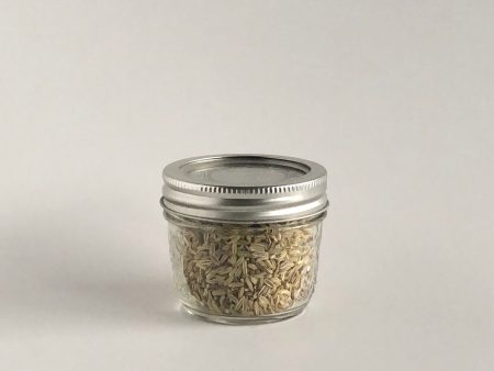 Fennel Seeds - Organic Online Sale