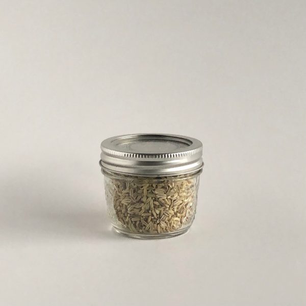 Fennel Seeds - Organic Online Sale