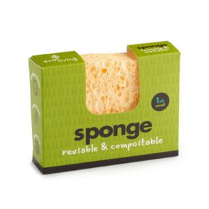 Biodegradable Sponge Small Supply