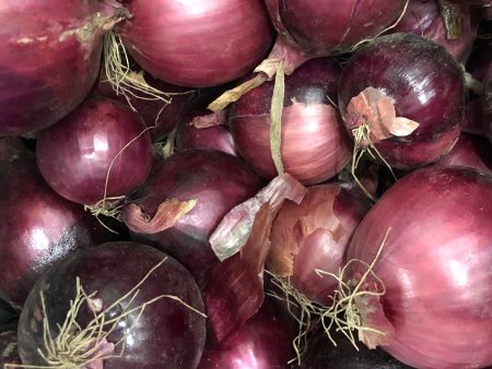 Red Onion Cheap