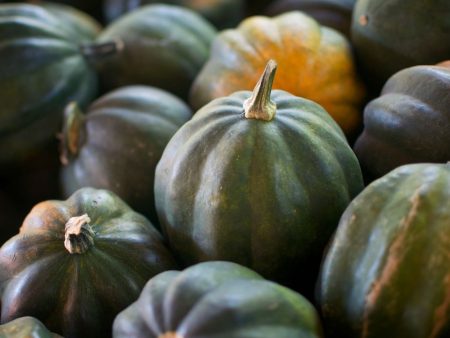 Acorn Squash Online