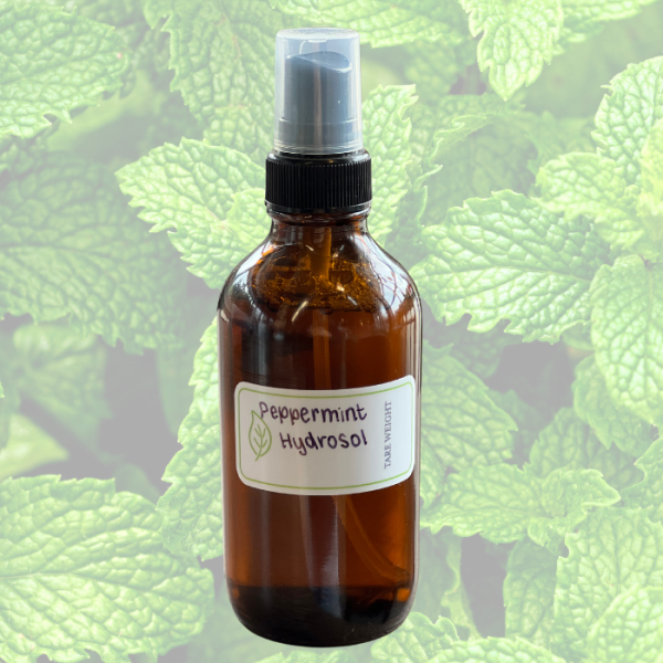 Peppermint Hydrosol Online Hot Sale