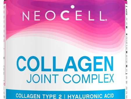 Collagen Type 2 Joint Complex with Hyaluronic Acid (120 CT) Discount