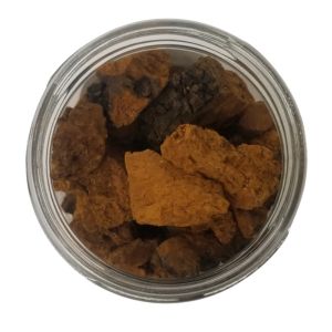 Chaga Mushroom Chunks Dried Online Sale