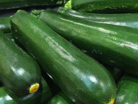 Zucchini Hot on Sale