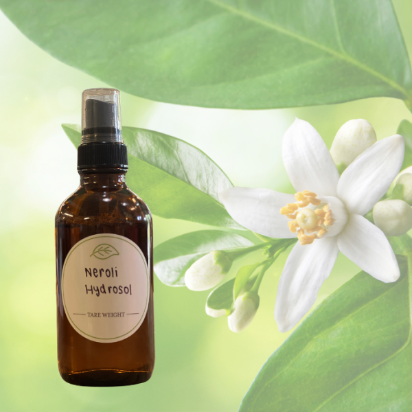 Neroli Hydrosol Online now