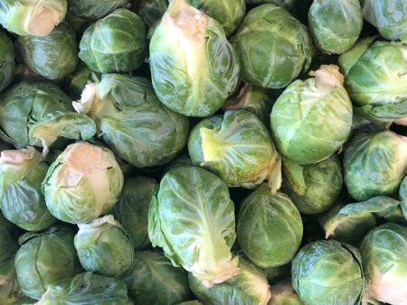 Brussel Sprouts Supply