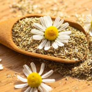 Chamomile Tea Online