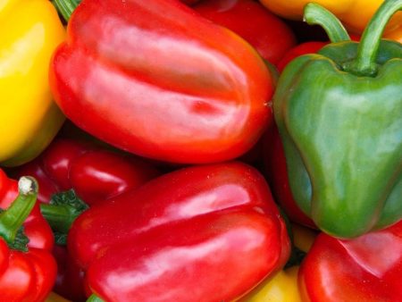 Bell Pepper For Sale