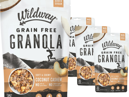 Soft & Chewy Snacking Granola Coconut Cashew (3 Pack) Sale