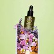 Organic Restoring Overnight Facial Oil Online Hot Sale