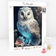 Diamond Painting Multi Special - White Owl Fashion