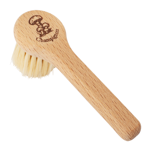 Mushroom Brush with Handle Online